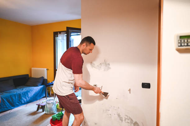 Best Attic Mold Removal  in Apache Junction, AZ